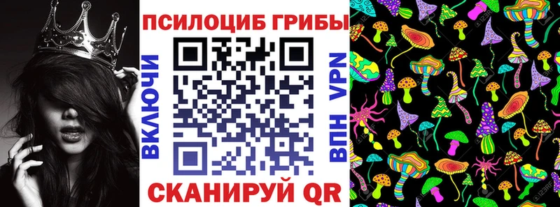 MEGA ССЫЛКА  Могоча  Псилоцибиновые грибы мухоморы  купить наркоту 