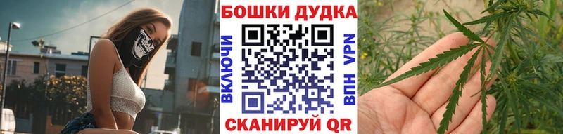 hydra вход  Могоча  Каннабис сатива 